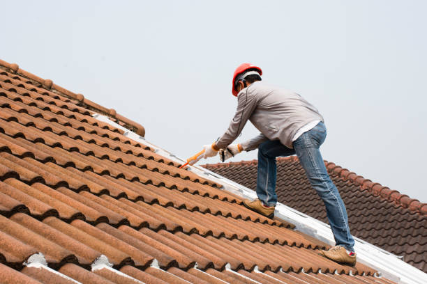 Best Metal Roofing Installation  in Sugarland Run, VA